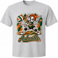 Ashville volleyball