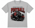Panthers football