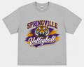 Springville volleyball