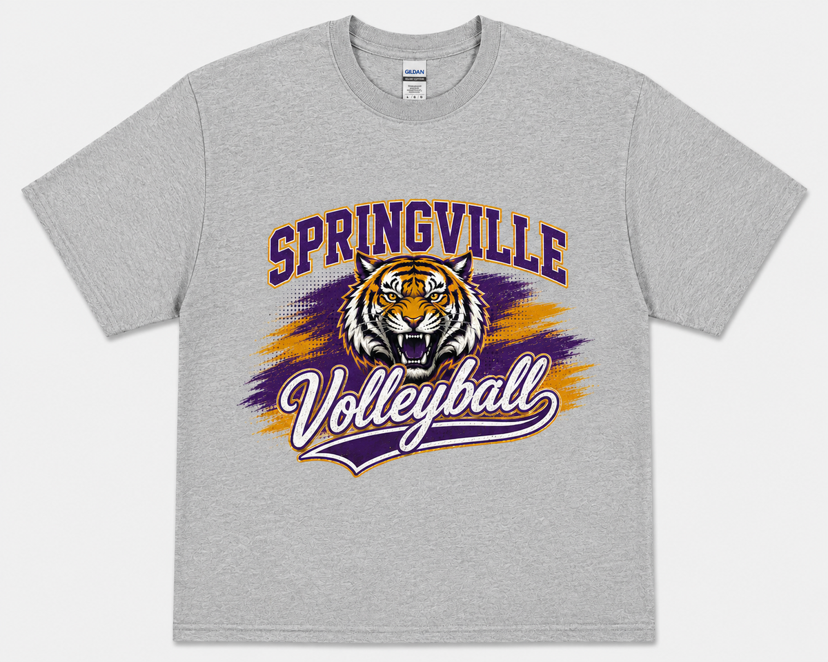 Springville volleyball