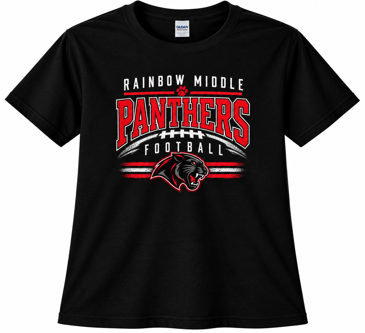 Panthers football